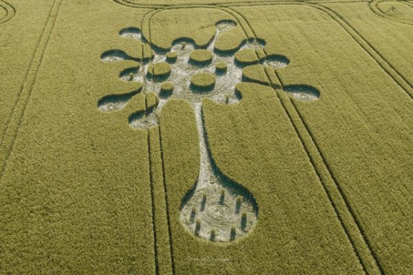 В Великобритании на поле появилось «коронавирусное» сообщение от пришельцев